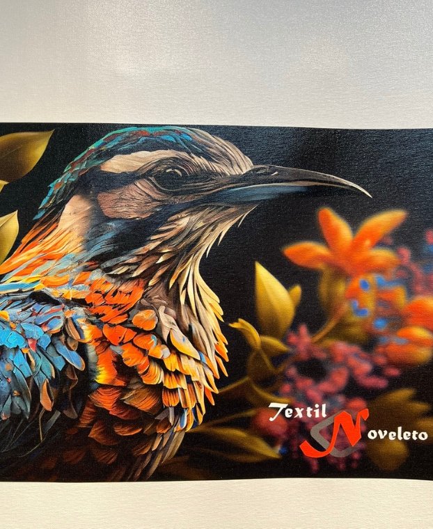 Canvas 2001 Brilho (1)